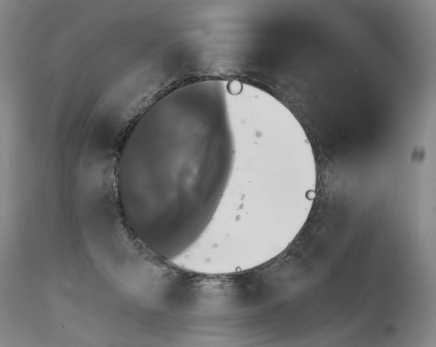 X0000114730415200911121759