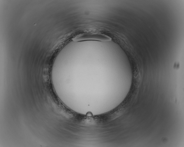 X0000114730416200911121759