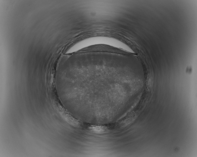 X0000114730417200911121759