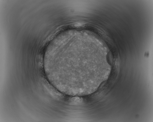 X0000114730421200911121759