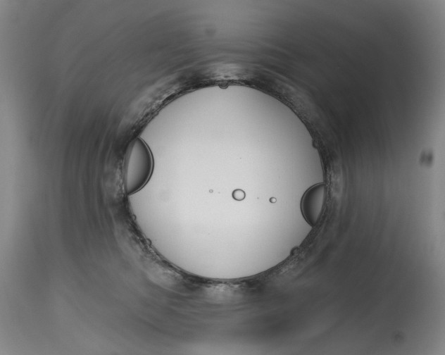 X0000114730422200911121759