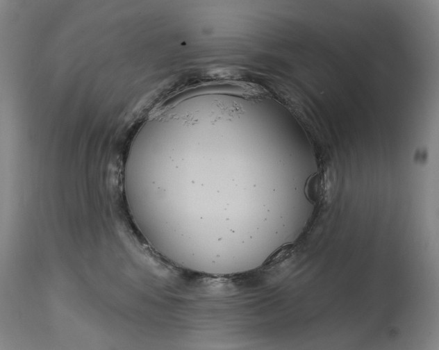 X0000114730424200911121759