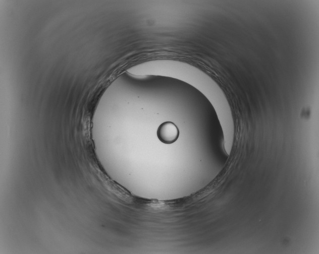 X0000114730425200911121759