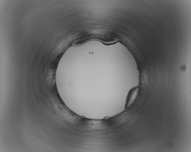 X0000114730428200911121759