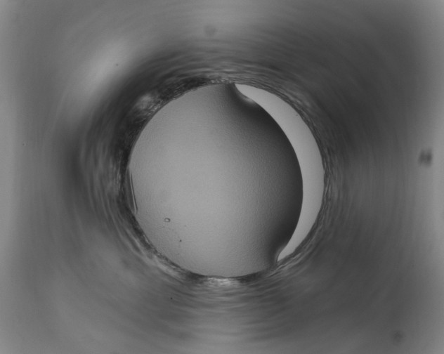 X0000114730429200911121759