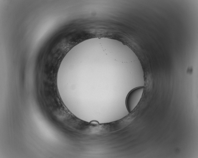 X0000114730430200911121758