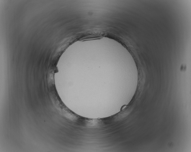 X0000114730432200911121758