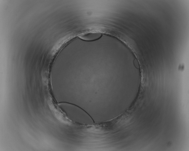 X0000114730434200911121758