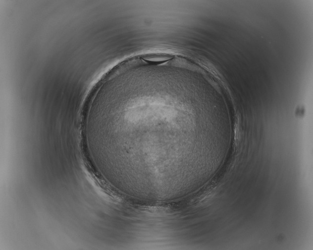 X0000114730436200911121758