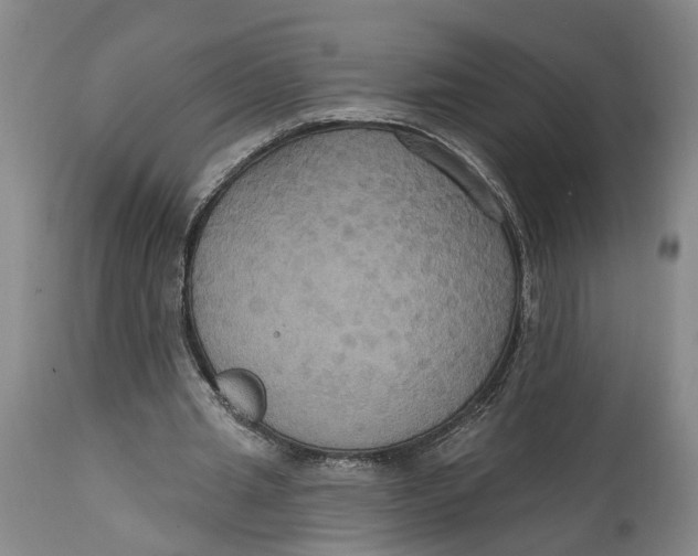 X0000114730437200911121758