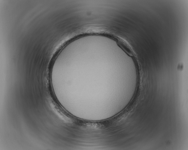 X0000114730439200911121758