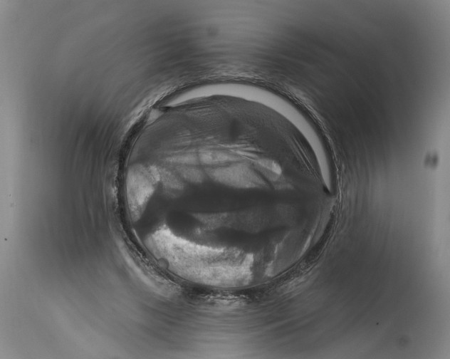 X0000114730443200911121758