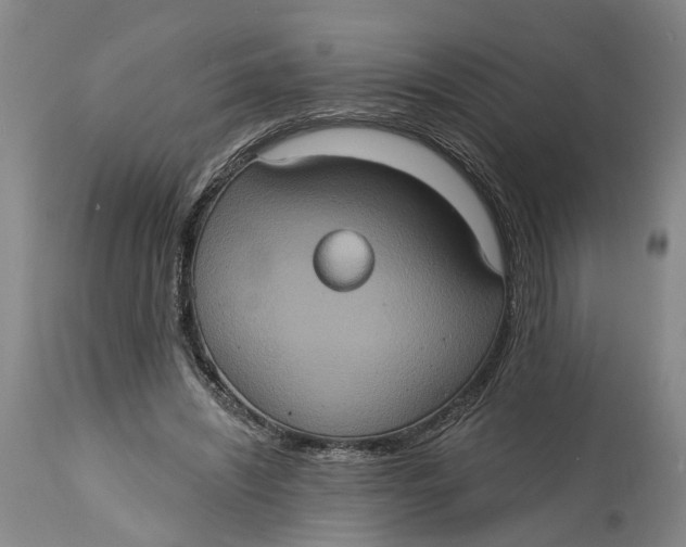 X0000114730444200911121758