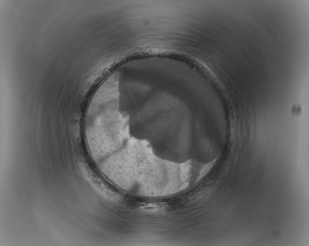 X0000114730447200911121758