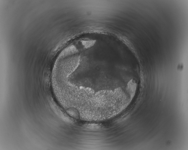 X0000114730449200911121758