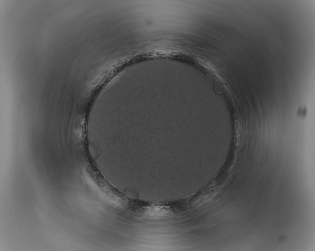 X0000114730451200911121758