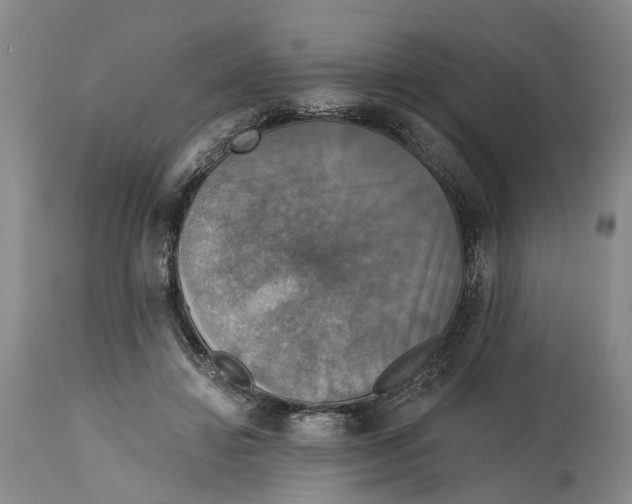 X0000114730452200911121758