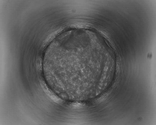 X0000114730453200911121758