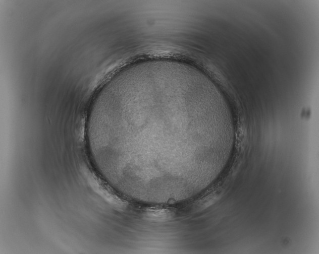 X0000114730454200911121758