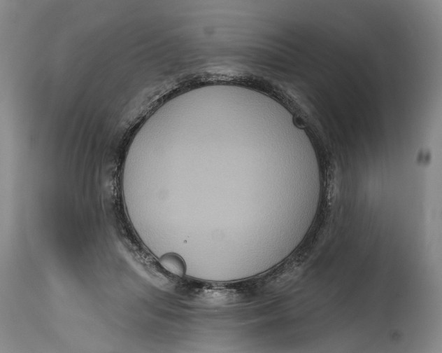 X0000114730455200911121758