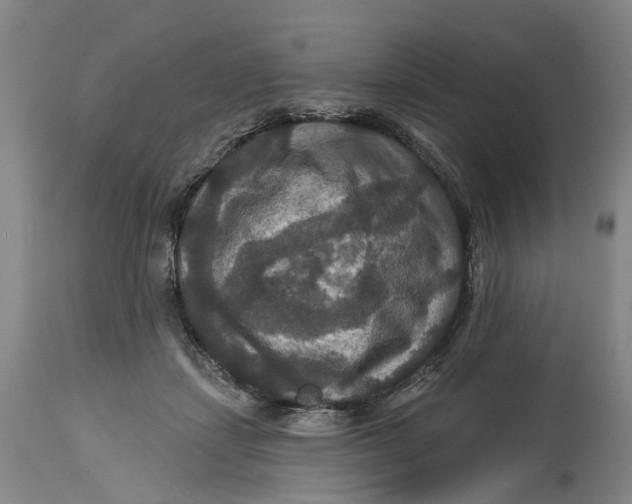 X0000114730459200911121758