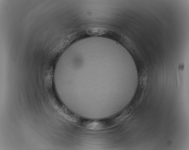 X0000114730460200911121758