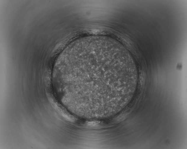 X0000114730461200911121758