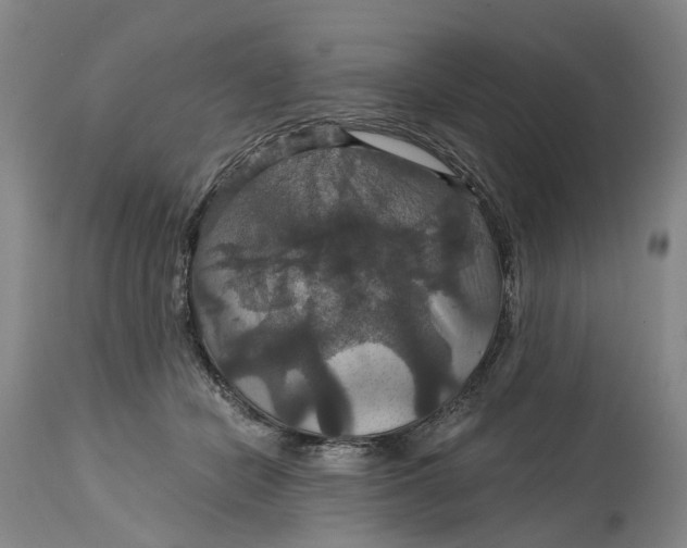 X0000114730462200911121758