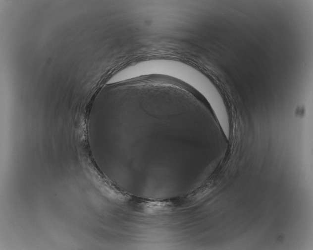 X0000114730465200911121758