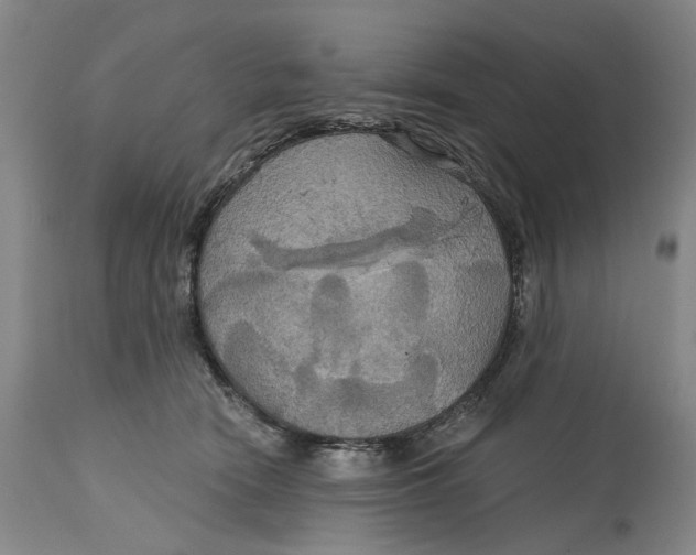 X0000114730466200911121758