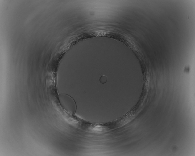 X0000114730467200911121758