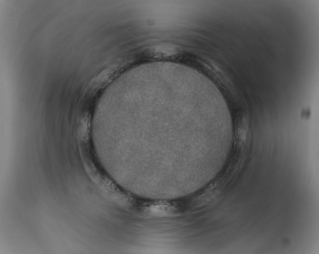 X0000114730468200911121758