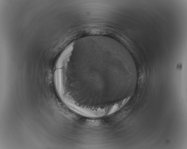 X0000114730469200911121758