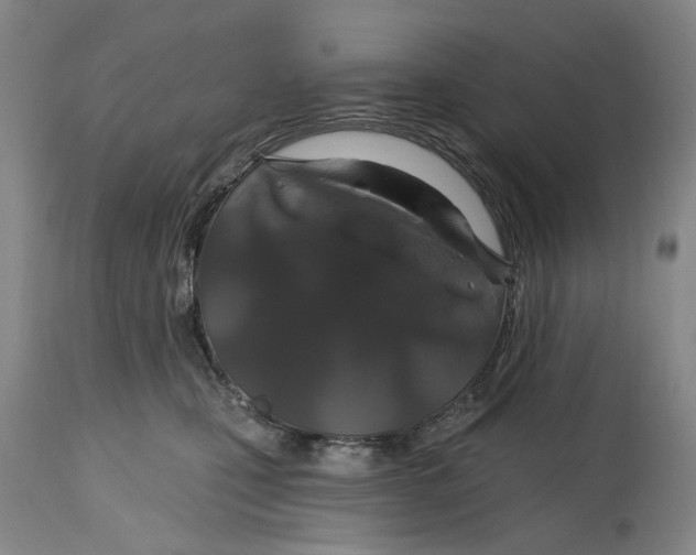 X0000114730471200911121758