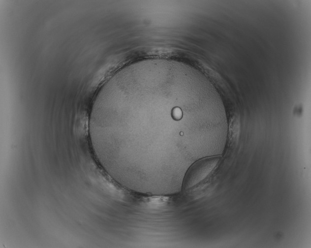 X0000114730474200911121758