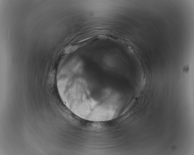 X0000114730475200911121758