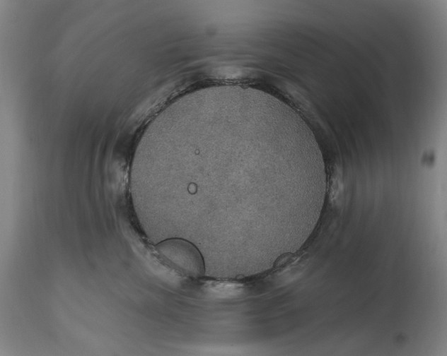 X0000114730476200911121758