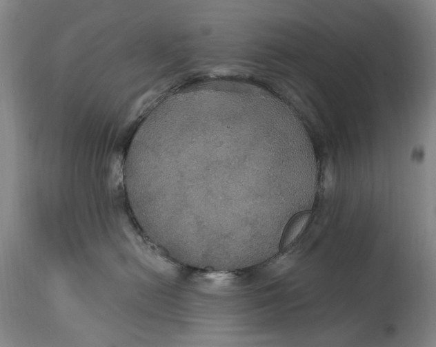 X0000114730478200911121758