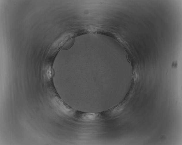 X0000114730479200911121758