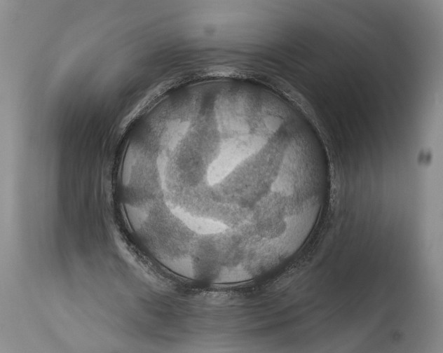 X0000114730482200911121758