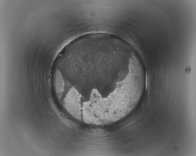 X0000114730483200911121758