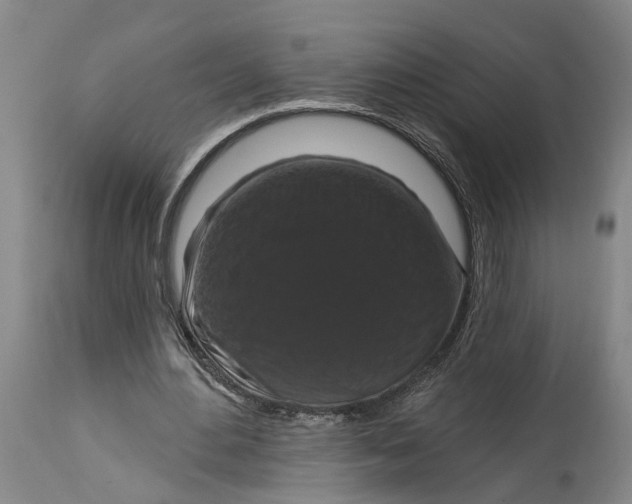 X0000114730484200911121758