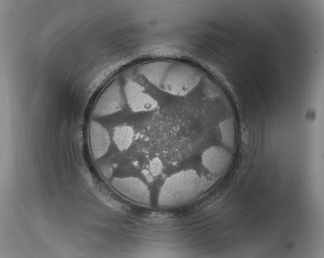 X0000114730487200911121758