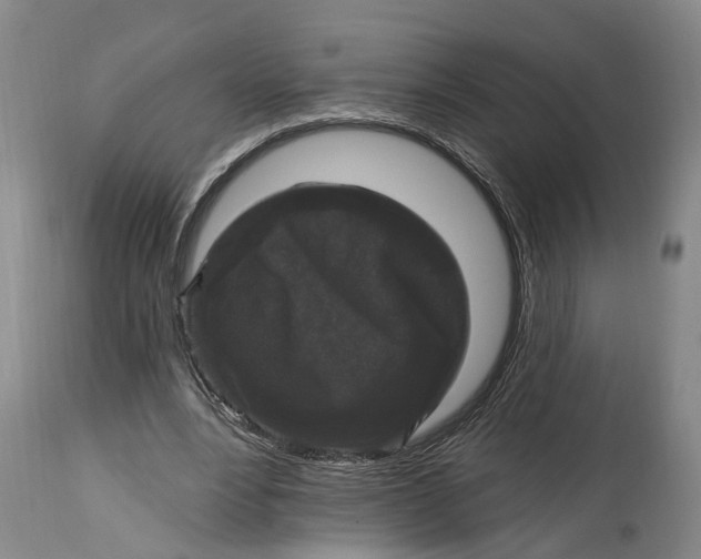 X0000114730488200911121758