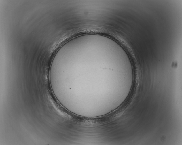 X0000114730489200911121758