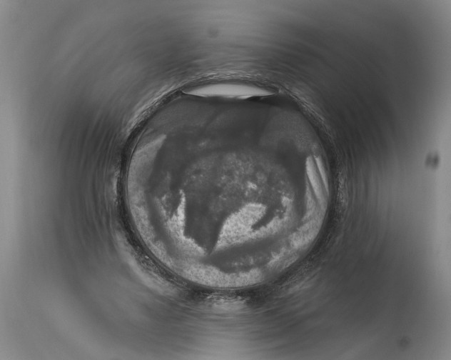 X0000114730491200911121758