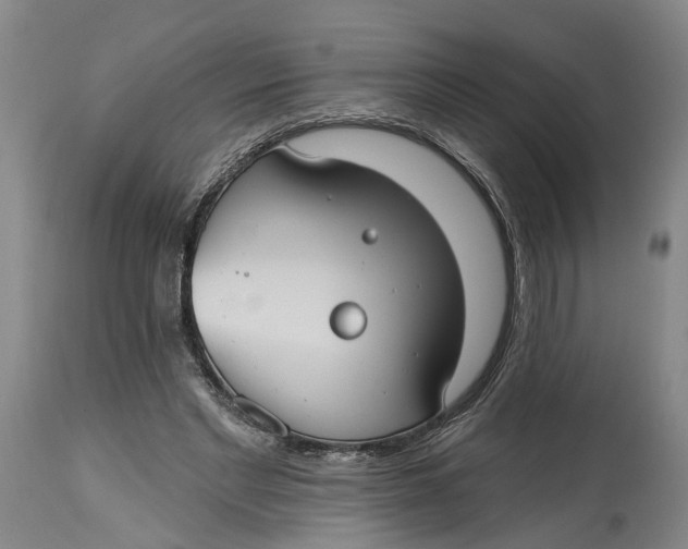 X0000114730493200911121758