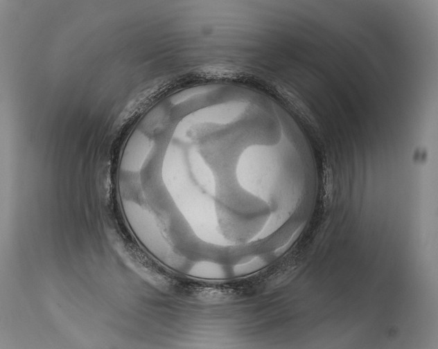 X0000114730494200911121758