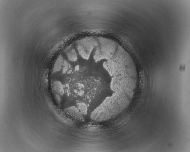 X0000114730495200911121758