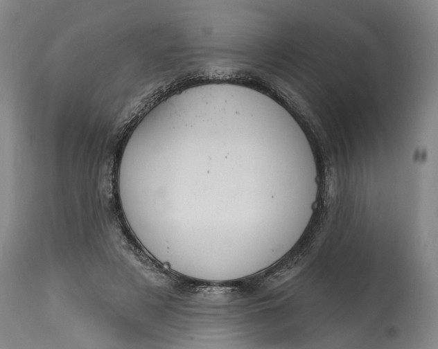 X0000114730497200911121758